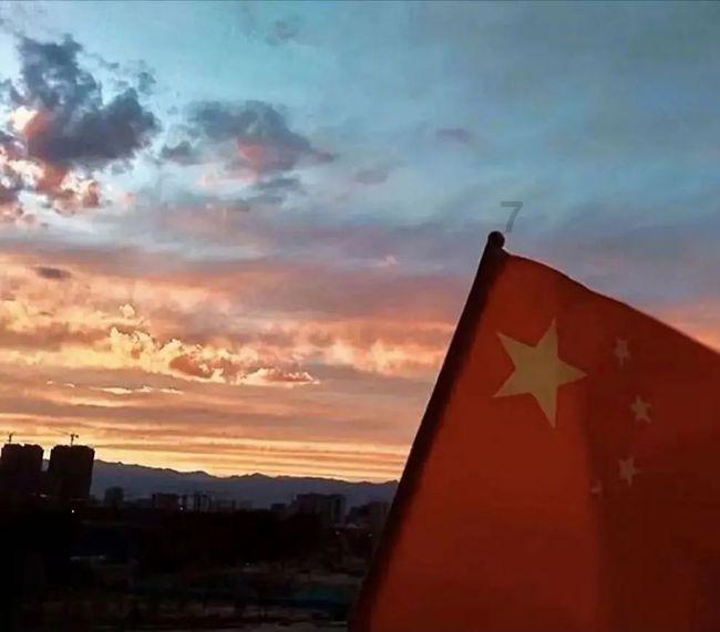 虫虫助手下载