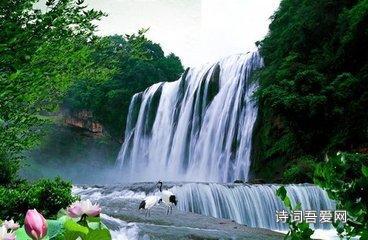 五彩蛇大作战
