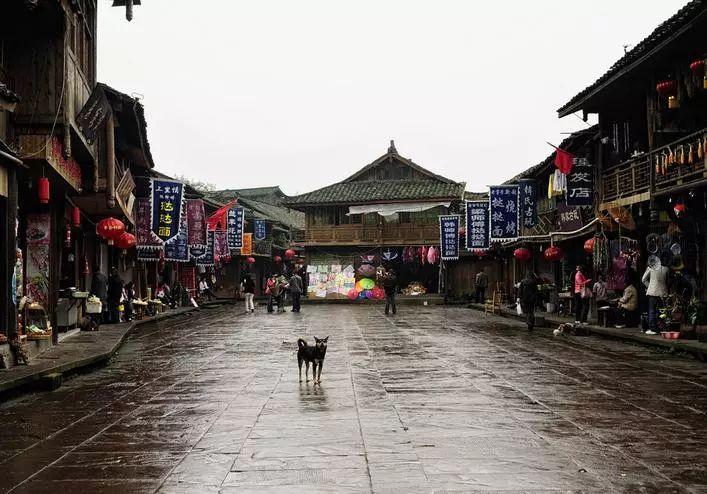 脑洞小老弟无实名认证
